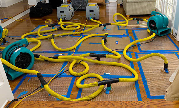 Professional Basement Flood Cleanup technician working in Artie, WV